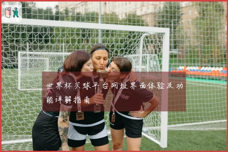 世界杯买球平台网址界面体验及功能详解指南