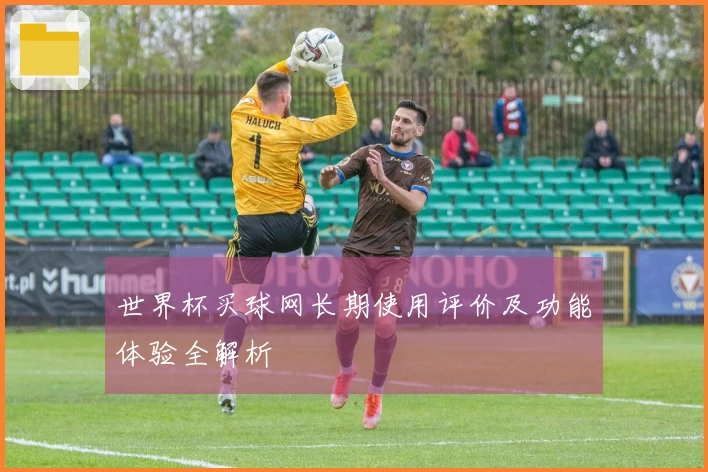 世界杯买球网长期使用评价及功能体验全解析