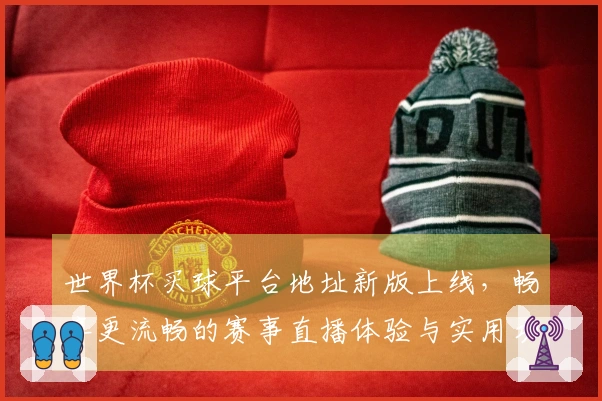 世界杯买球平台地址新版上线，畅享更流畅的赛事直播体验与实用功能介绍