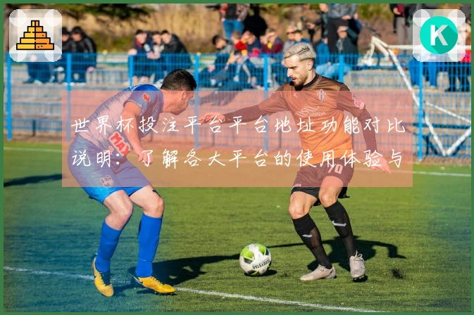 世界杯投注平台平台地址功能对比说明：了解各大平台的使用体验与优势