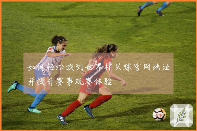 如何轻松找到世界杯买球官网地址并提升赛事观赛体验