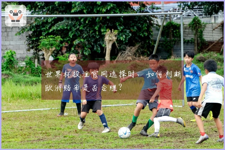 世界杯投注官网选择时，如何判断欧洲赔率是否合理？