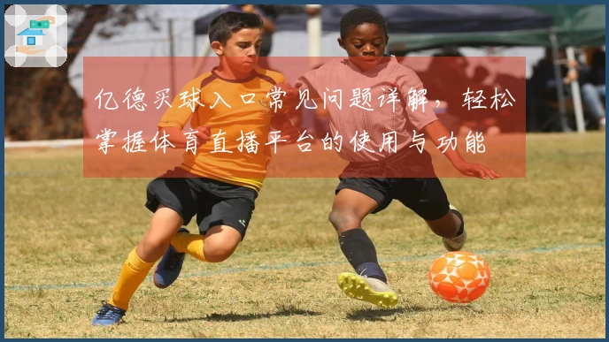 亿德买球入口常见问题详解，轻松掌握体育直播平台的使用与功能