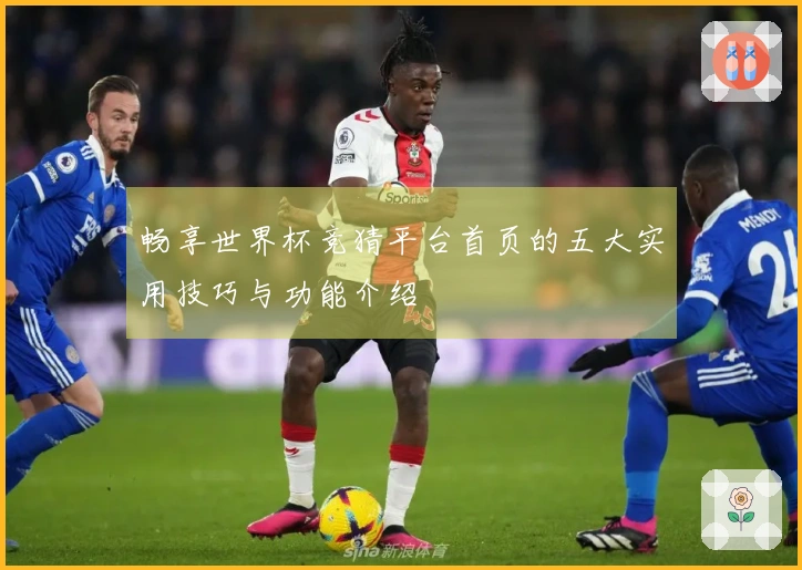 畅享世界杯竞猜平台首页的五大实用技巧与功能介绍