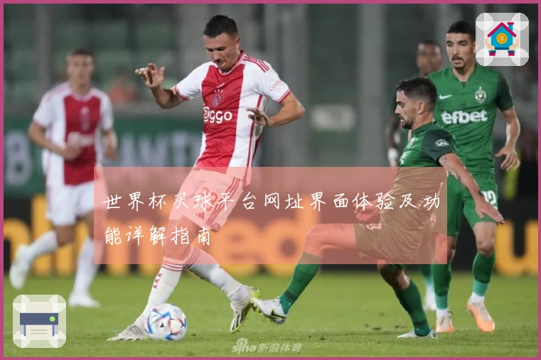 世界杯买球平台网址界面体验及功能详解指南