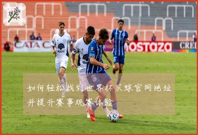 如何轻松找到世界杯买球官网地址并提升赛事观赛体验