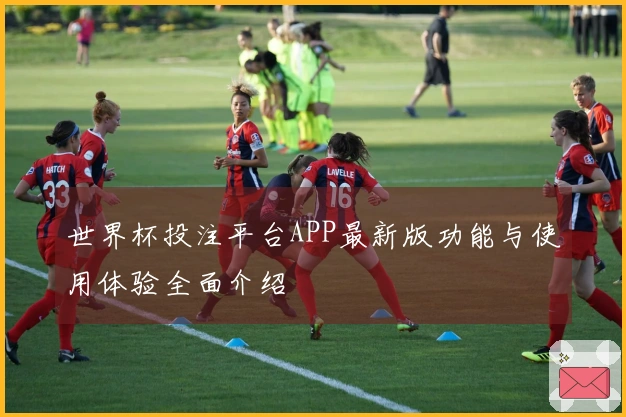 世界杯投注平台APP最新版功能与使用体验全面介绍