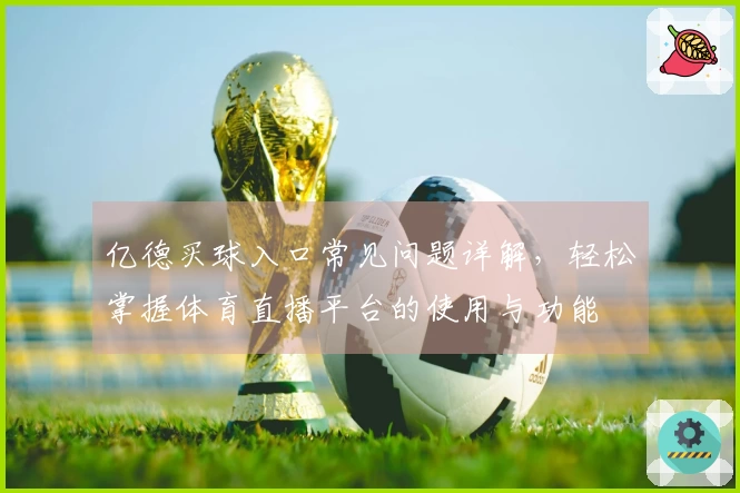 亿德买球入口常见问题详解，轻松掌握体育直播平台的使用与功能