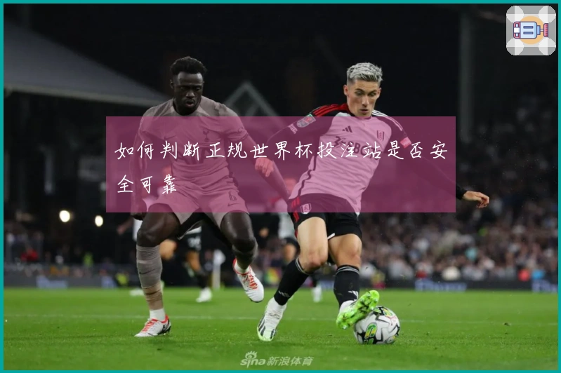 如何判断正规世界杯投注站是否安全可靠