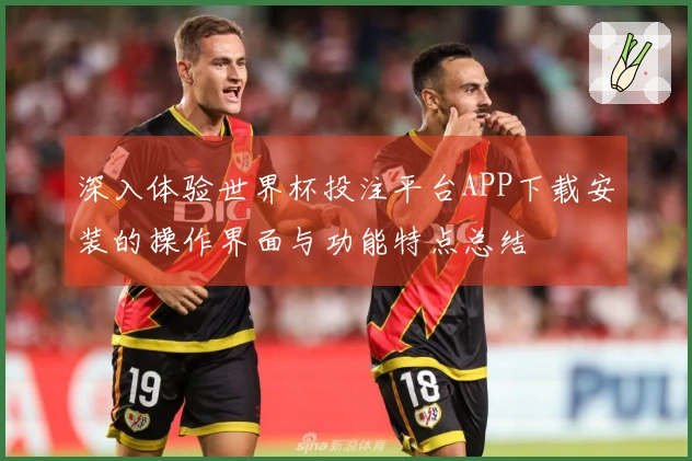 深入体验世界杯投注平台APP下载安装的操作界面与功能特点总结