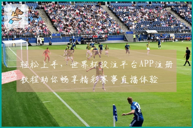 轻松上手，世界杯投注平台APP注册教程助你畅享精彩赛事直播体验
